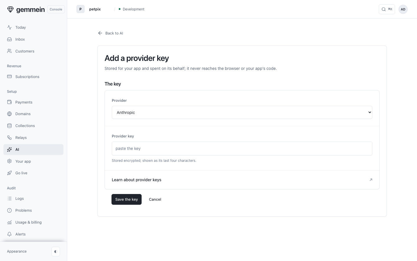 Choose Add a provider key to paste one: it is stored for your app and never shown again.