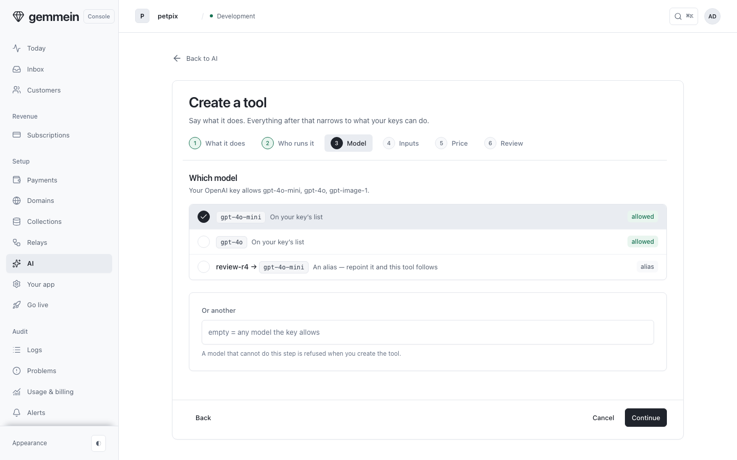 Choose the model: one of your key's own, an alias that repoints every tool on it together, or another model name pasted in.