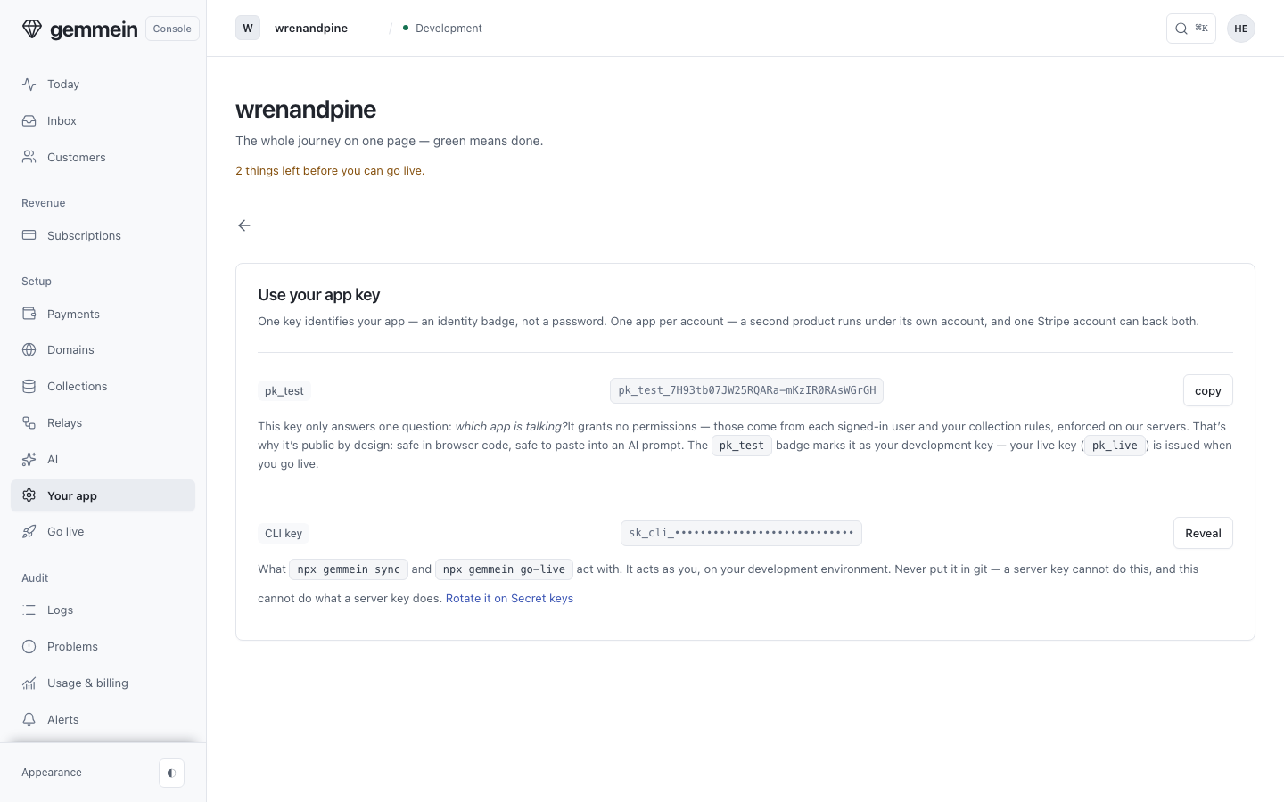 Open Use your app key for the key your code sends to say which app is talking; it grants nothing, so it is safe in browser code and in a prompt.